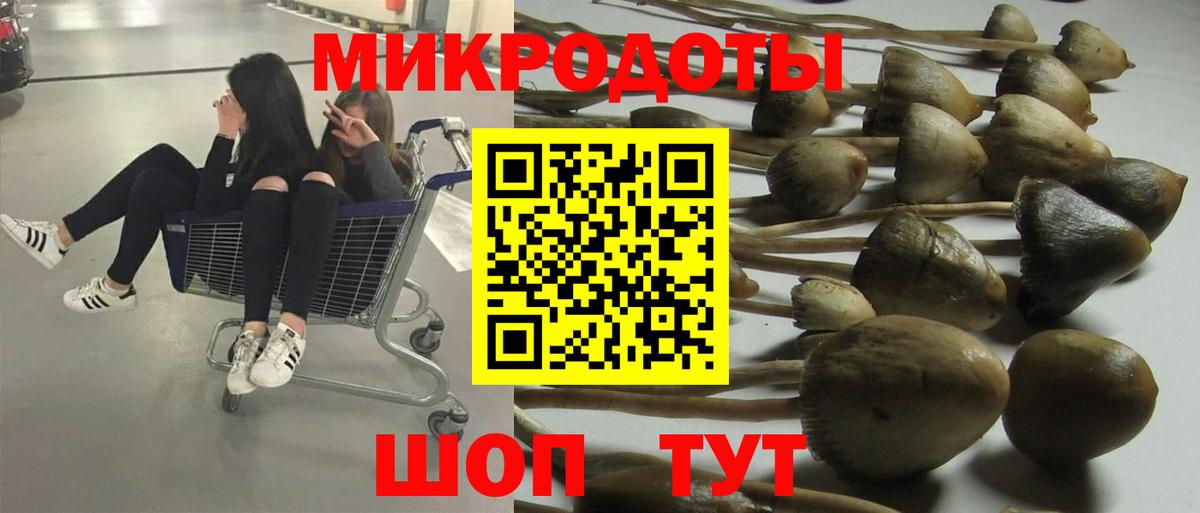 Галлюциногенные грибы Cubensis  Вход с VPN  Камышин 